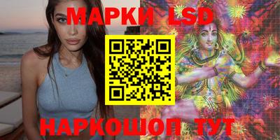 spice Кулебаки